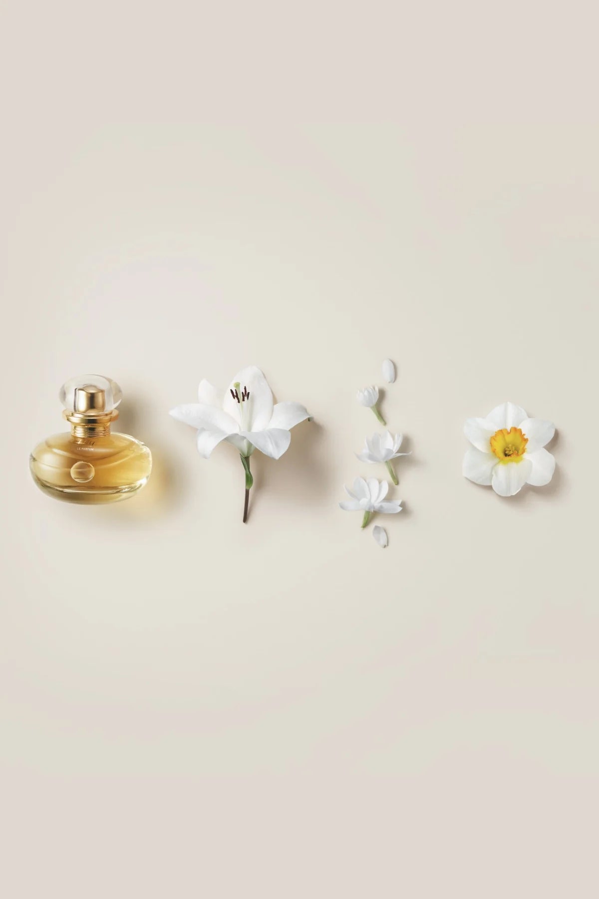 Lily Le Parfum 30ml - Limited Edition